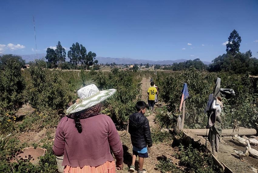 Mamás transmiten saberes agrícolas a sus hijas e hijos