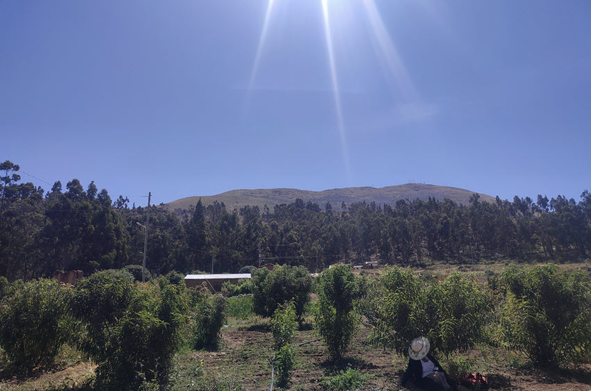 Familias agricultoras producen en el cerro Tuti y lo protegen