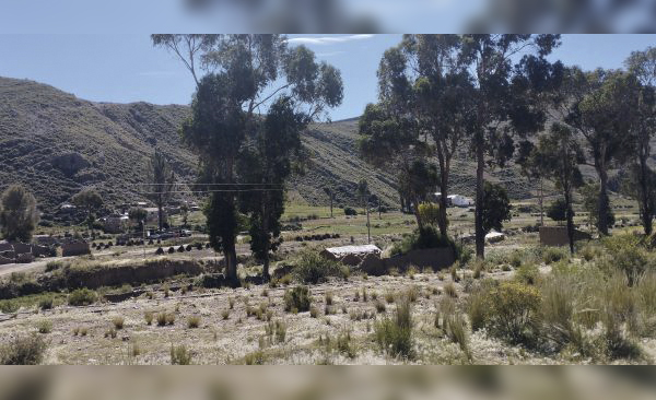 Zamaza Baja produce sus alimentos en carpas solares 