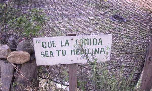 Grupo de autoprotección del Calama retoma el cuidado del huerto escolar