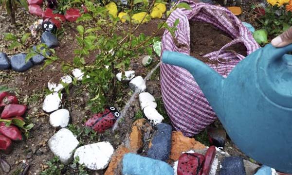 Las jardineras del colegio Boliviano Americano 