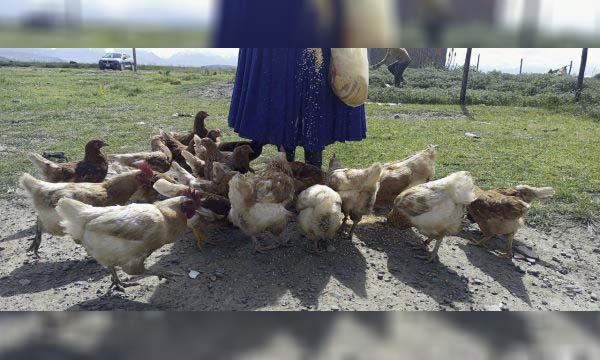 Una granja bonita que cuida al planeta
